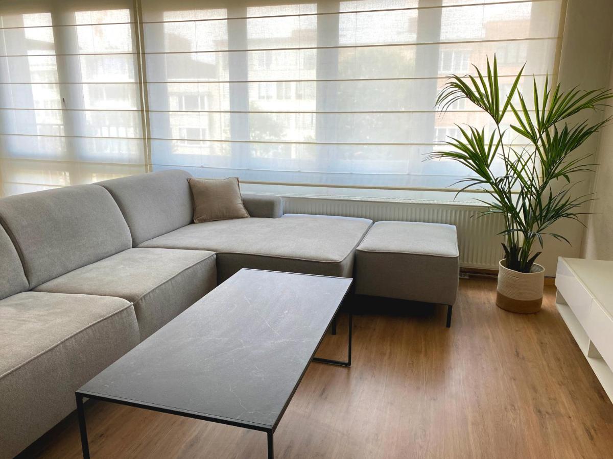 Cosy And Fully Equipped Apartment Near אנטוורפן מראה חיצוני תמונה
